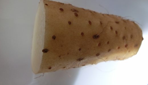 長芋を食べて腹痛に?下痢や吐き気の原因は?対処法は?食べ過ぎはよくない?