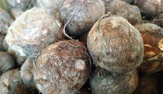 里芋の食べ過ぎは便秘や下痢を引き起こす?触ると痒くなるのはなぜ?栄養価は?