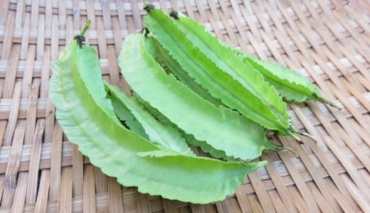 四角豆に毒性はある?根っこも食べれる?栽培方法も解説!肥料や病気・害虫等
