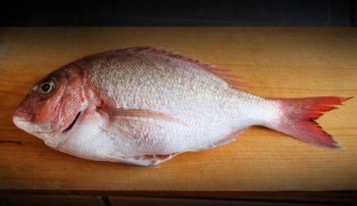 妊娠中に真鯛を食べてもいい?妊婦の方は寿司や刺身を食べて大丈夫?水銀を解説