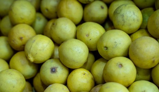青パパイヤの食べ方は?保存法は?生で食べれる?サラダ等のおすすめレシピを紹介