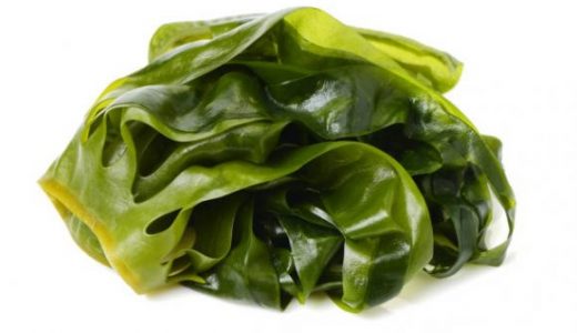 生わかめの冷凍保存方法は?解凍方法や茹で方も解説!日持ちする?保存期間は?