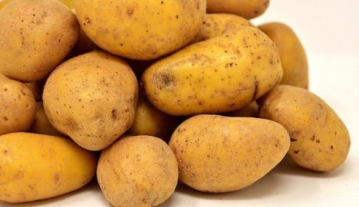 皮が青いじゃがいもを食べたけど大丈夫？食中毒の可能性は?取り除く方がいい?
