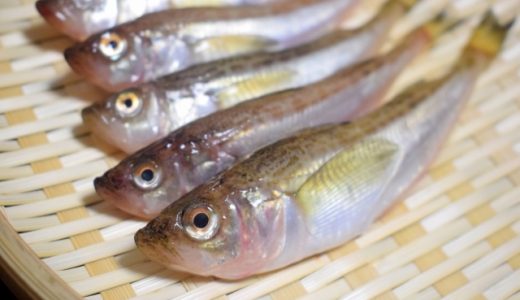 ハタハタは丸ごと食べることができる魚って本当?オススメの食べ方を紹介