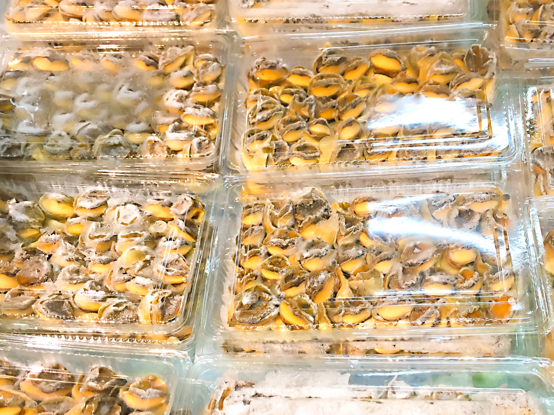 アカニシ貝には寄生虫が 食虫毒は大丈夫 保存方法は冷凍で大丈夫 お役立ち 季節の耳より情報局