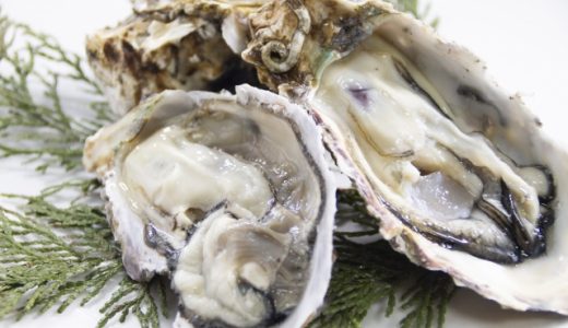 牡蠣の冷凍であたることがある?賞味期限はどれくらい?食中毒の予防法や対策