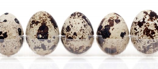 うずらの卵の日持ち･賞味期限｜腐るとどうなる?保存方法は?