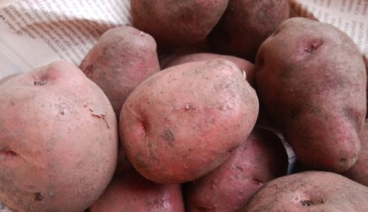 アンデスレッドは皮ごとじゃがバターで食べるのがオススメ!栄養や効果とは?