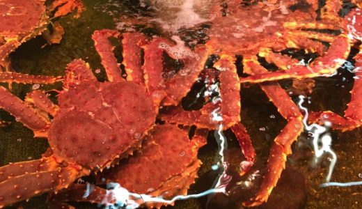 ズワイガニとタラバガニどっちを選べばいいの?カニの選び方のポイントを紹介