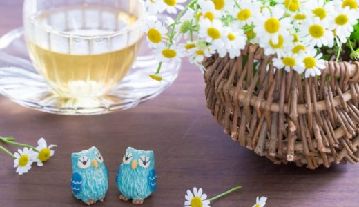 寝る前にカモミールティーを飲むのがオススメ!飲むときのポイントを紹介