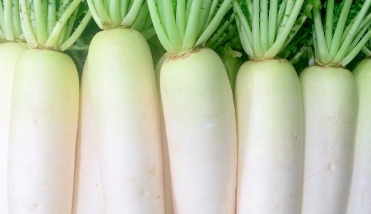 しなびた大根は漬物や煮物にするのがおすすめ?食べてもよいか判断する基準は?