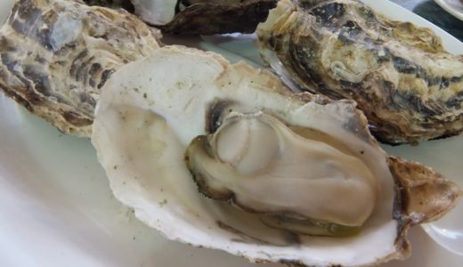牡蠣の賞味期限はどれくらい?食べきれない量をもらった時の適切な保存方法は?