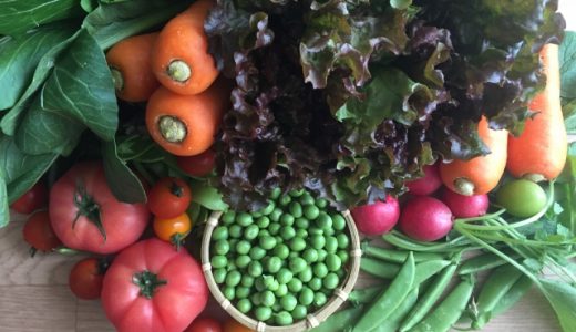 野菜は一日何グラム食べればいいの?野菜不足を解消するためのポイントとは?