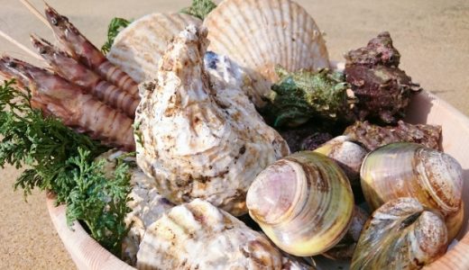 貝毒の症状とは?危険かどうか見分けるポイントは?発生状況はどこで確認できる?