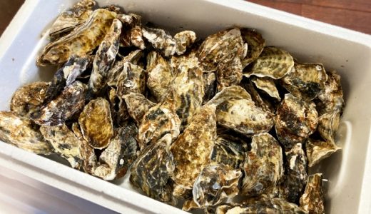 牡蠣が生臭い・ドブ臭い時の対処法とは?火を通しても食あたりになるって本当?