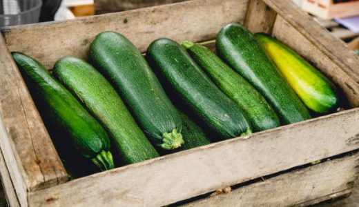 ズッキーニは生食できる?あく･毒･下処理の有無･妊婦は食べられる?