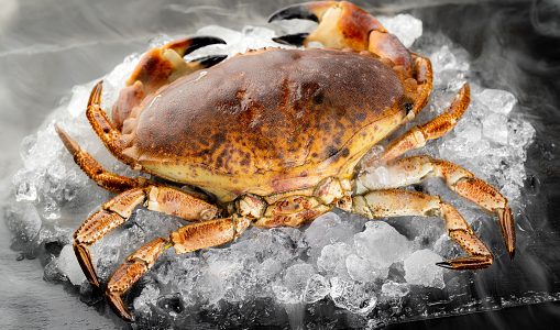 黒く変色したカニって食べても大丈夫？黒くなる原因とそれを防ぐ方法とは？