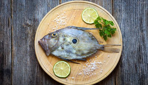 チダイ 血鯛 の寄生虫アニサキス タイノエ お刺身 昆布締めで食中毒に お役立ち 季節の耳より情報局