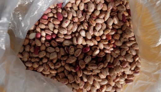 古い豆を柔らかく煮る方法は？豆の種類別の煮方もご紹介