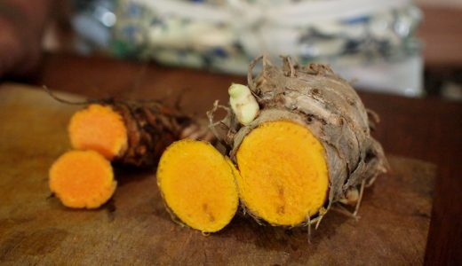 生のウコンは毎日食べてもいい？効果や副作用、おすすめの食べ方も。