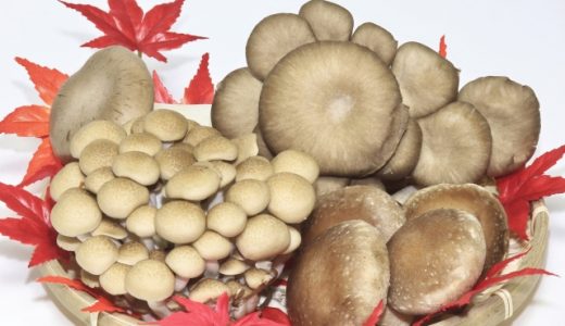 ひらたけの白い物はカビ?気中菌糸とは?黒・緑・ピンクのフワフワは食べてはダメ?