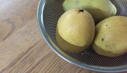 かりんシロップの保存期間はどれくらい?常温保存で1年経っていても食べていいいの?