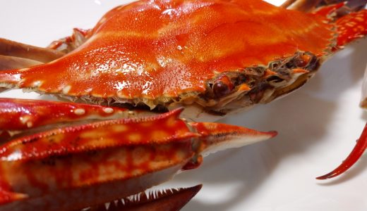 カニを茹でると白いふわふわしたものが…これは食べれる？黒いつぶつぶはなに?