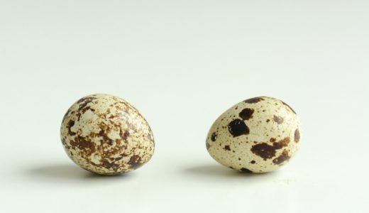 うずらの卵は冷凍保存できるの?水煮・醤油漬けの保存方法は?賞味期限はどれくらい?