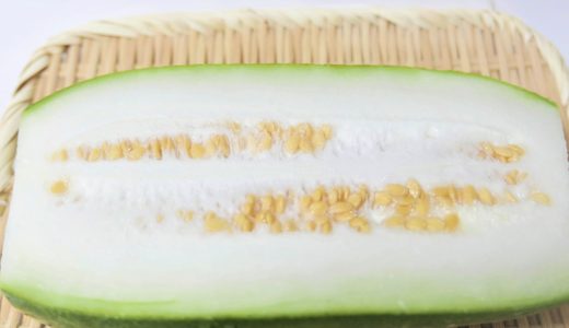 冬瓜が腐るとどうなる?見分け方や味や匂いに起きる変化と保存方法
