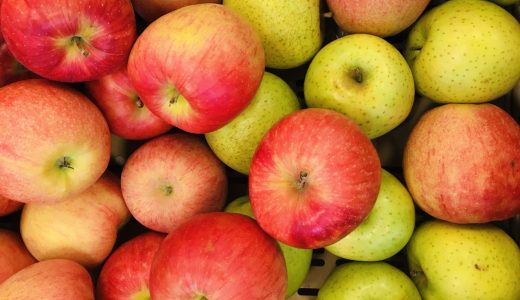 ぐんま名月はどんなりんご?美味しい?どこで買える?群馬以外の産地と違いも