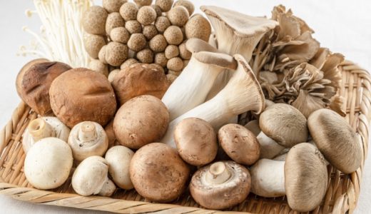 きのこの食べ過ぎは人体に有害？下痢・腹痛や吐き気が？栄養やレシピ