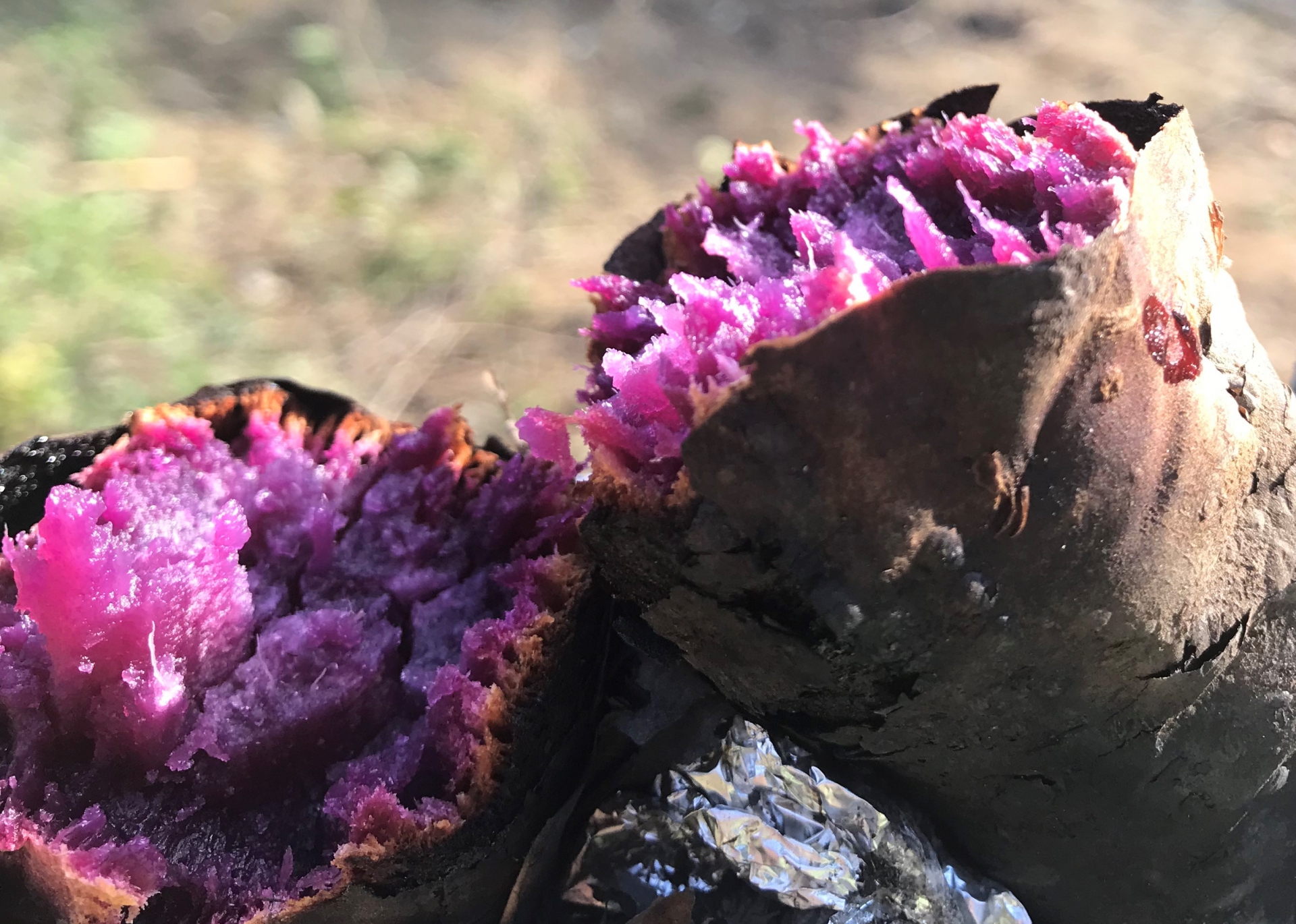 紫芋は甘くない カロリーや栄養価 焼き芋などのアレンジレシピも お役立ち 季節の耳より情報局