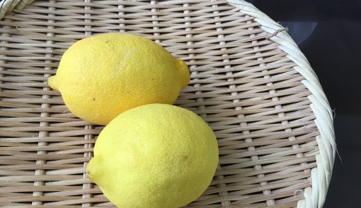 レモンを砂糖漬けにすると苦くなる?苦味を消す方法･保存方法も