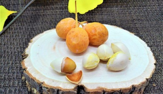 銀杏は体に悪いって本当?子供は危険?一日どれくらい食べても良いの?栄養素や毒性