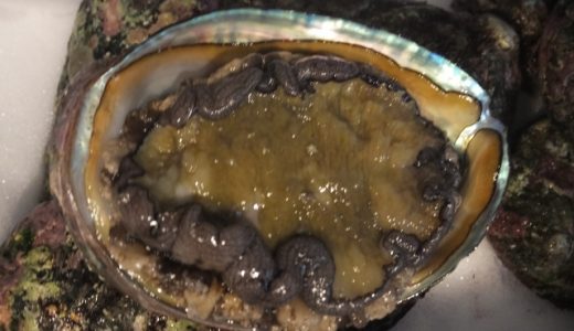 冷凍アワビの解凍する方法とは?解凍したアワビの捌き方は?オススメの食べ方を解説