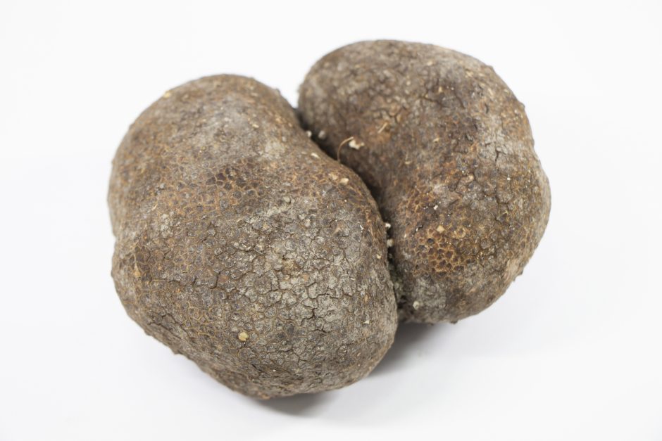 うんちの色を変えるものは何ですか？