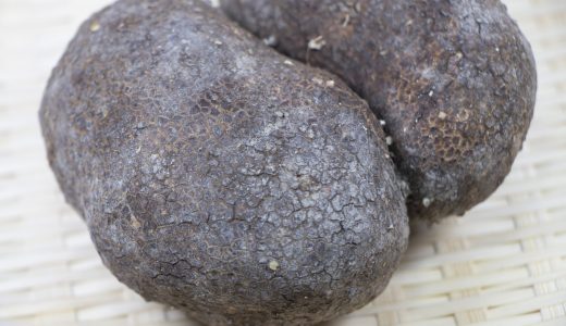 つくね芋ってどんなもの？自然薯の違いってなに？おすすめレシピも