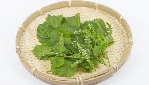 しその実は生でたべても大丈夫?しその花も食べることができるって本当?使い方は?