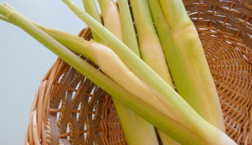 マコモダケが黒い時って食べられる?どうして黒くなるの?特徴や食べ方を解説