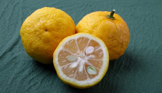 柚子酢の本当の保存期間は?正しい保存方法を知っていれば長期保存も可能!