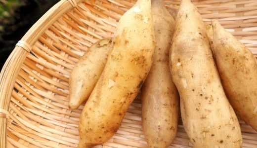 ヤーコンはまずい?どんな味?妊娠中に食べるのがオススメ?気になる栄養素や保存方法