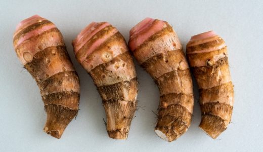 たけのこ芋は追熟させる必要があるの?伏せ込みっていったい何?里芋との違いとは