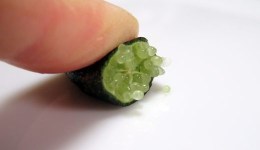 フィンガーライムってどんな味?栽培方法・価格や食べ方も。
