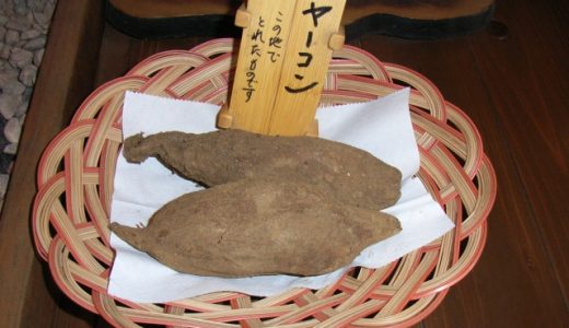 ヤーコンは生で食べられる?炒め物やサラダにもあう不思議なイモ「ヤーコン」とは?