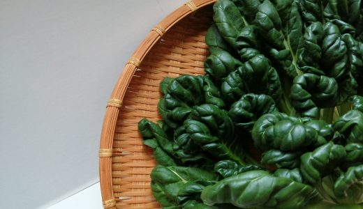 ターサイってどんなもの?保存方法は?作り置きメニューやレシピもご紹介