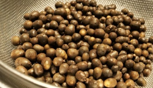 むかごは毒性のあるものがある?ニガカシュウって何?むかごってなんのためにあるの?