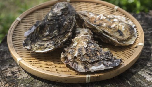 牡蠣を毎日食べると効果は?食べ過ぎは体に悪い?気持ち悪い時の対処法は?