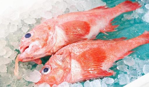 キンキは妊娠中(妊婦)でも食べられるオススメ魚!水銀の危険性や効果は?