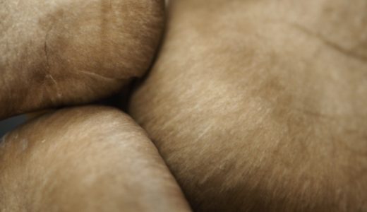 ひらたけしめじとは?スープや鍋・ステーキがオススメ?どんな特徴があるの?