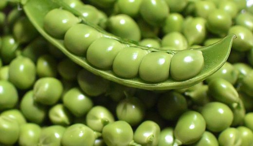 グリーンピースは食べ過ぎてもいい?ダイエットにはむいてる?食べ方やレシピは?